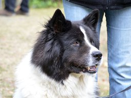 DSC_0629