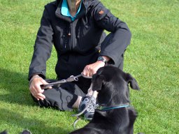 DSC_1047