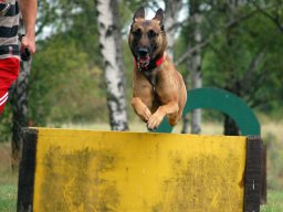 ths_turnier-(36)