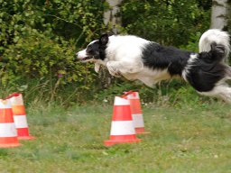ths_turnier_092011-(101)