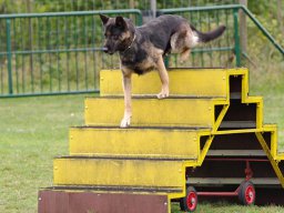 ths_turnier_092011-(125)