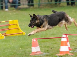ths_turnier_092011-(126)