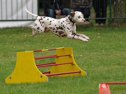 ths_turnier_092011-(131)