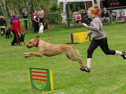 ths_turnier_092011-(135)