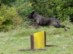 ths_turnier_092011-(30)