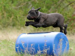 ths_turnier_092011-(31)