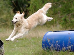 ths_turnier_092011-(37)