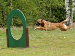 ths_turnier_092011-(38)