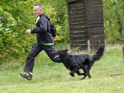 ths_turnier_092011-(40)