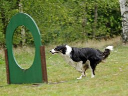 ths_turnier_092011-(41)