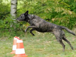 ths_turnier_092011-(44)