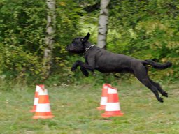 ths_turnier_092011-(47)