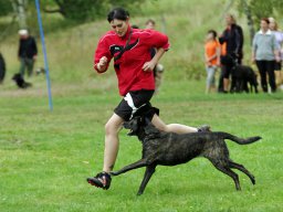 ths_turnier_092011-(5)