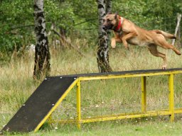 ths_turnier_092011-(51)
