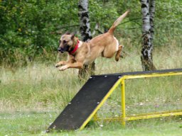 ths_turnier_092011-(52)