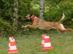 ths_turnier_092011-(53)