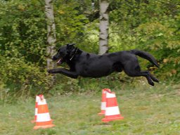 ths_turnier_092011-(55)