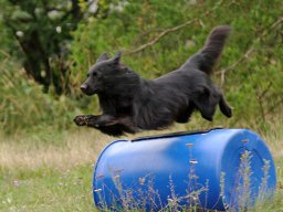 ths_turnier_092011-(57)