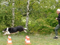 ths_turnier_092011-(60)