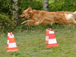 ths_turnier_092011-(63)
