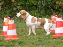 ths_turnier_092011-(82)