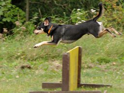 ths_turnier_092011-(90)