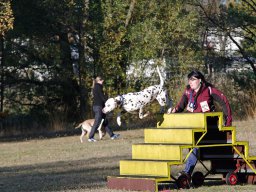 IMGP7782+1