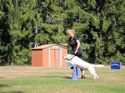 ths-turnier-2026-08-09-01