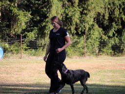ths-turnier-2026-08-09-09