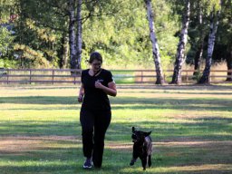 ths-turnier-2026-08-09-11