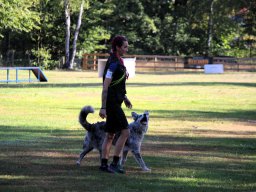 ths-turnier-2026-08-09-23