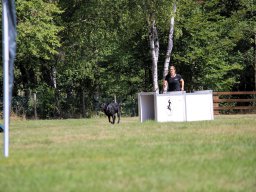 ths-turnier-2026-08-09-34