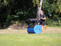 ths-turnier-2026-08-09-35