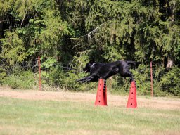 ths-turnier-2026-08-09-36