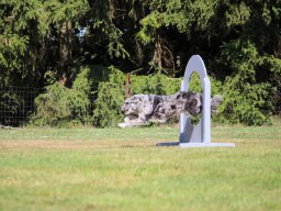 ths-turnier-2026-08-09-42