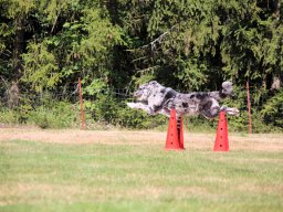 ths-turnier-2026-08-09-43