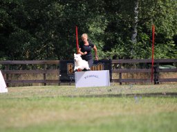 ths-turnier-2026-08-09-44