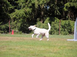 ths-turnier-2026-08-09-50