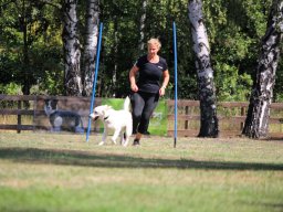 ths-turnier-2026-08-09-71