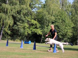 ths-turnier-2026-08-09-93
