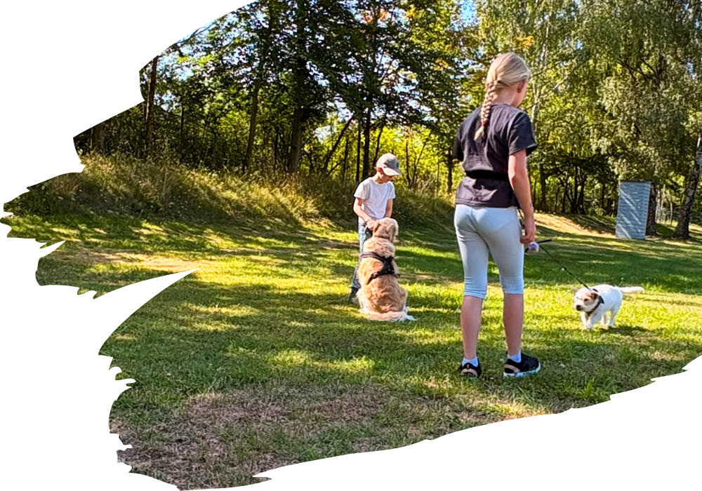 Kinder und Jugendliche beim Hundetraining des SGV Langelsheim