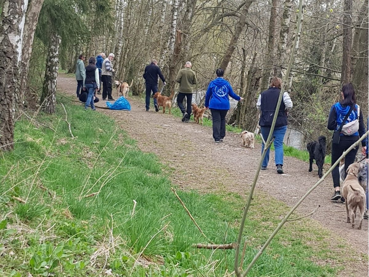 Mensch-Hund-Teams beim gemeinsamen Social Walk