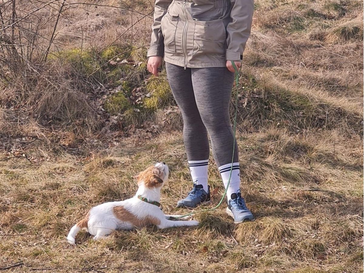 Übung während eines Social Walks