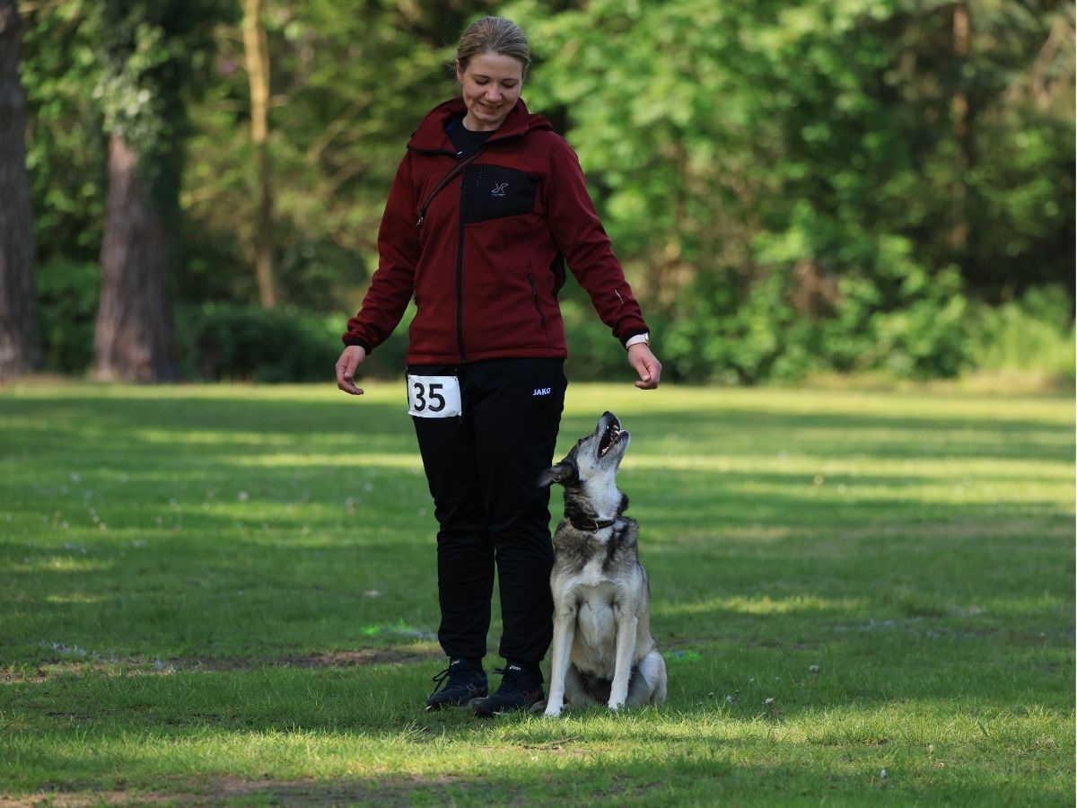 Training einer Sprungfolge im Turnierhundesport