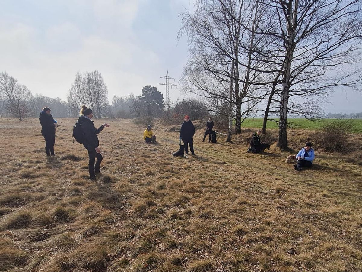 Mensch-Hund-Teams bei einem Social Walk