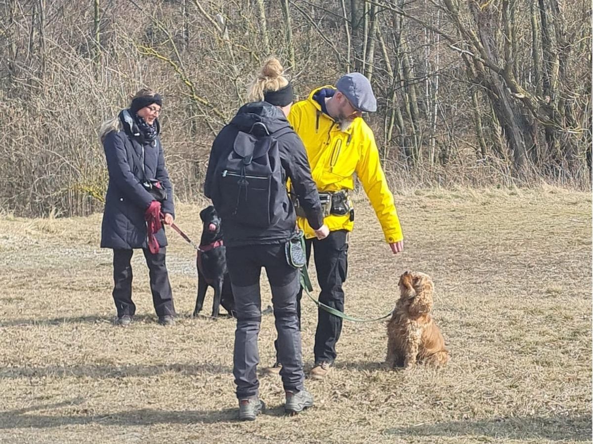 Mehrere Mensch-Hund-Teams beim gemeinsamen Training in einem Hundesportverein