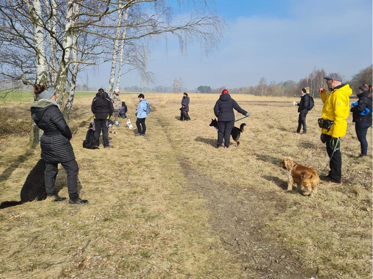 Hunde und ihre Menschen mit ausreichend Abstand bei einem Social Walk