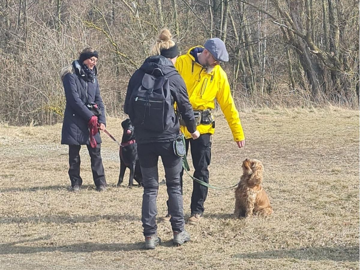 Mensch-Hund-Teams bei einem Social Walk