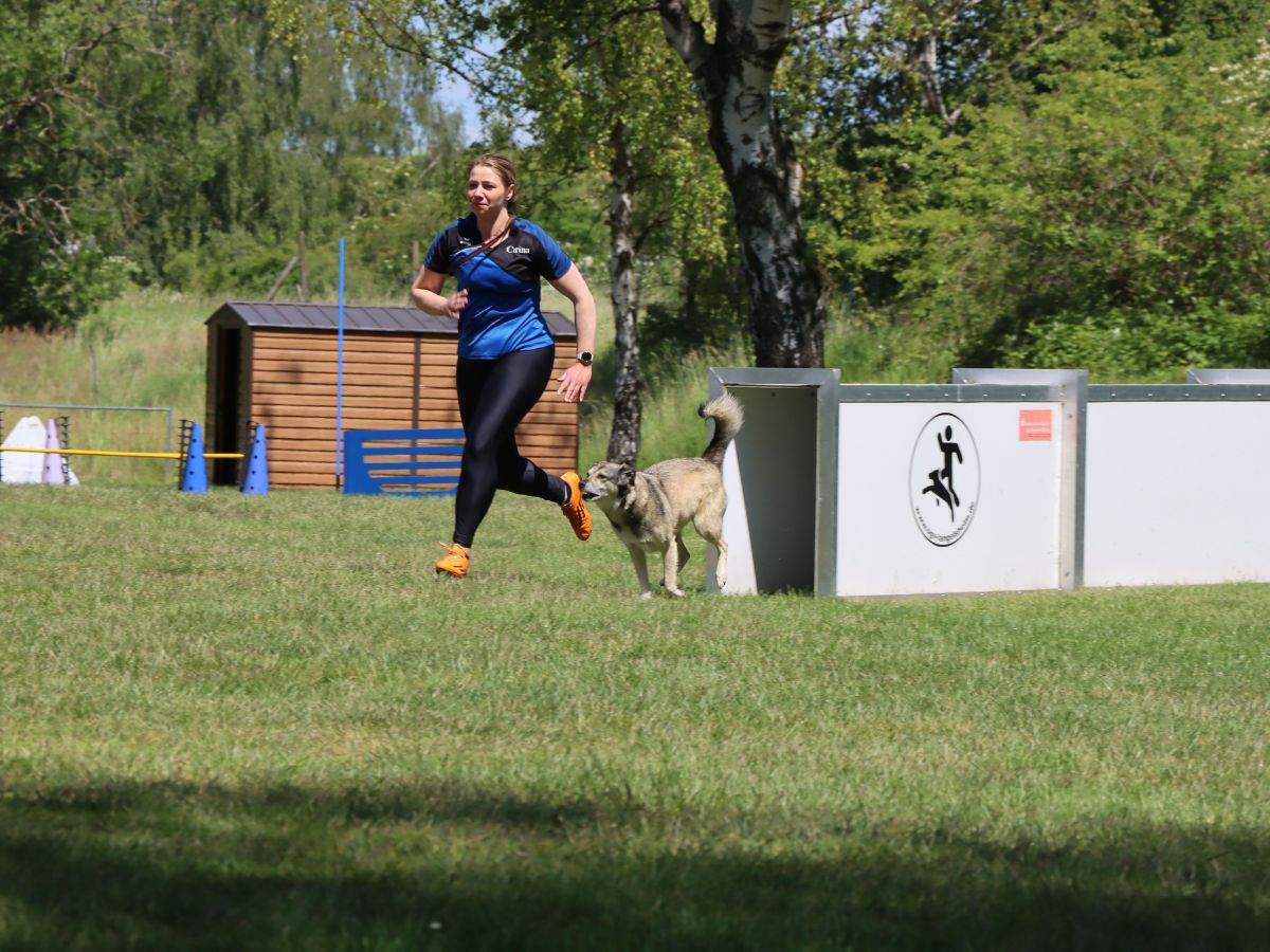 Mensch-Hund-Team am geförderten Tunnel beim Turnierhundsport